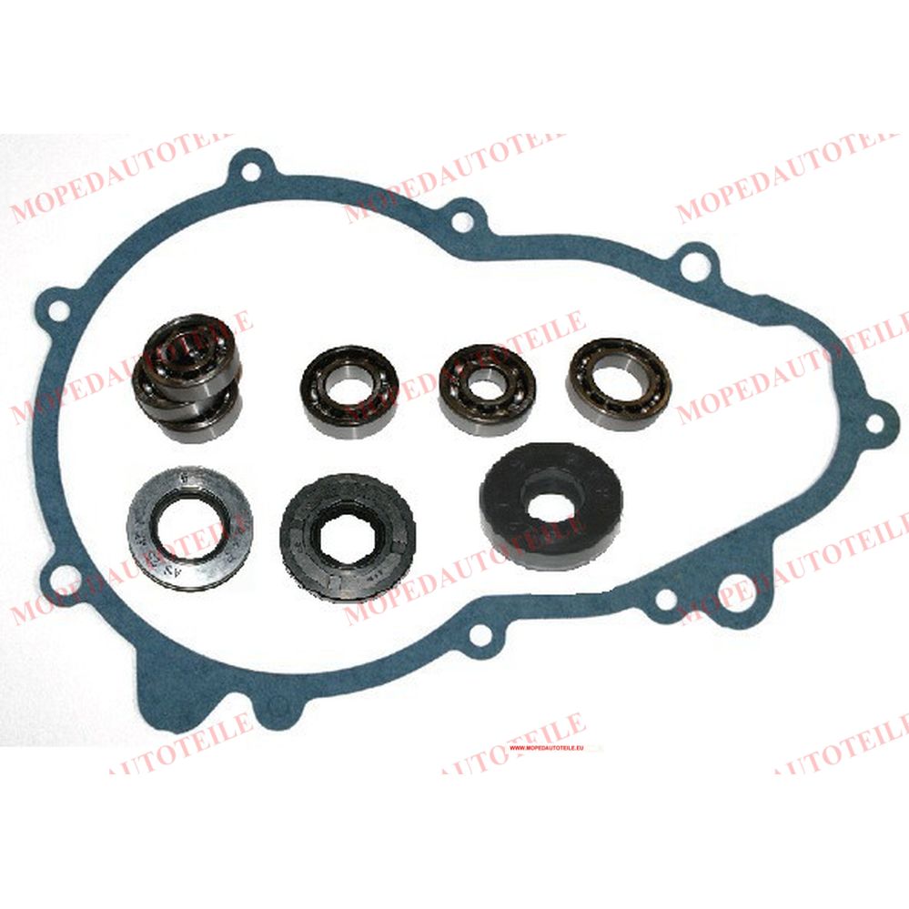 Kit de réfection de boîte de vitesses Stilfreni Microcar (MGO1/MGO2)